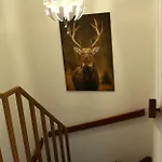 Waldblick Appartement