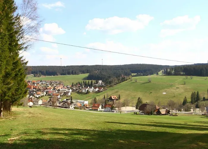 Waldblick Schonach im Schwarzwald