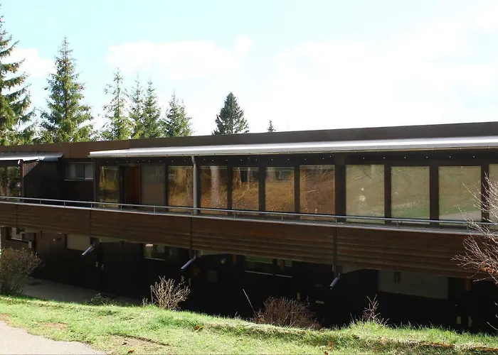 Waldblick Schonach im Schwarzwald
